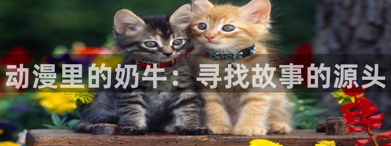 哈哩哈哩免费版