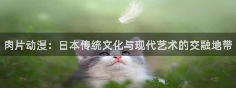 火线传奇哈哩哈哩